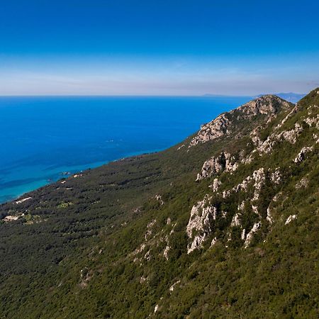 Artemis Prasoudi Beach Halikounas Exterior foto