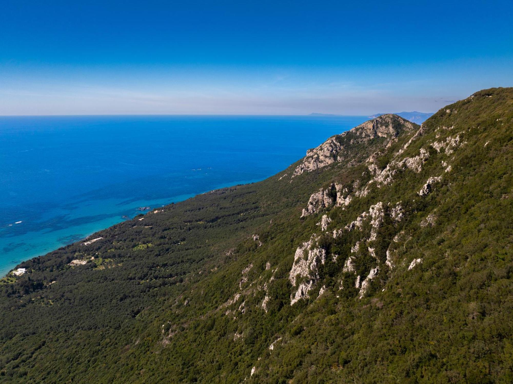 Artemis Prasoudi Beach Halikounas Exterior foto